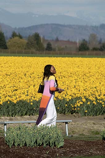 Skagit Valley Tulip Festival